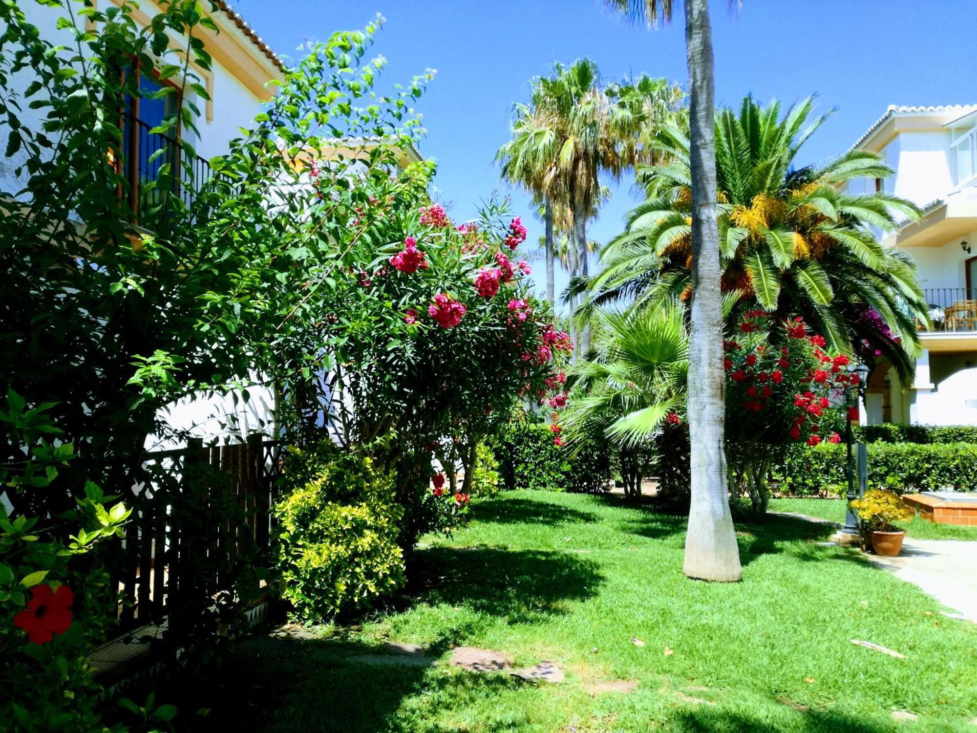 Planta Baja Con Porche Y Piscina, Cerca Del Mar Διαμέρισμα Denia Εξωτερικό φωτογραφία